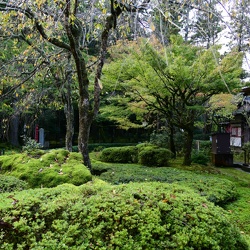 2018.Kanazawa.marathon